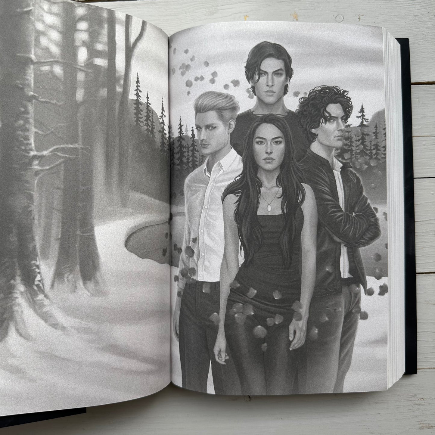 Rose Petal Graves HARDCOVER