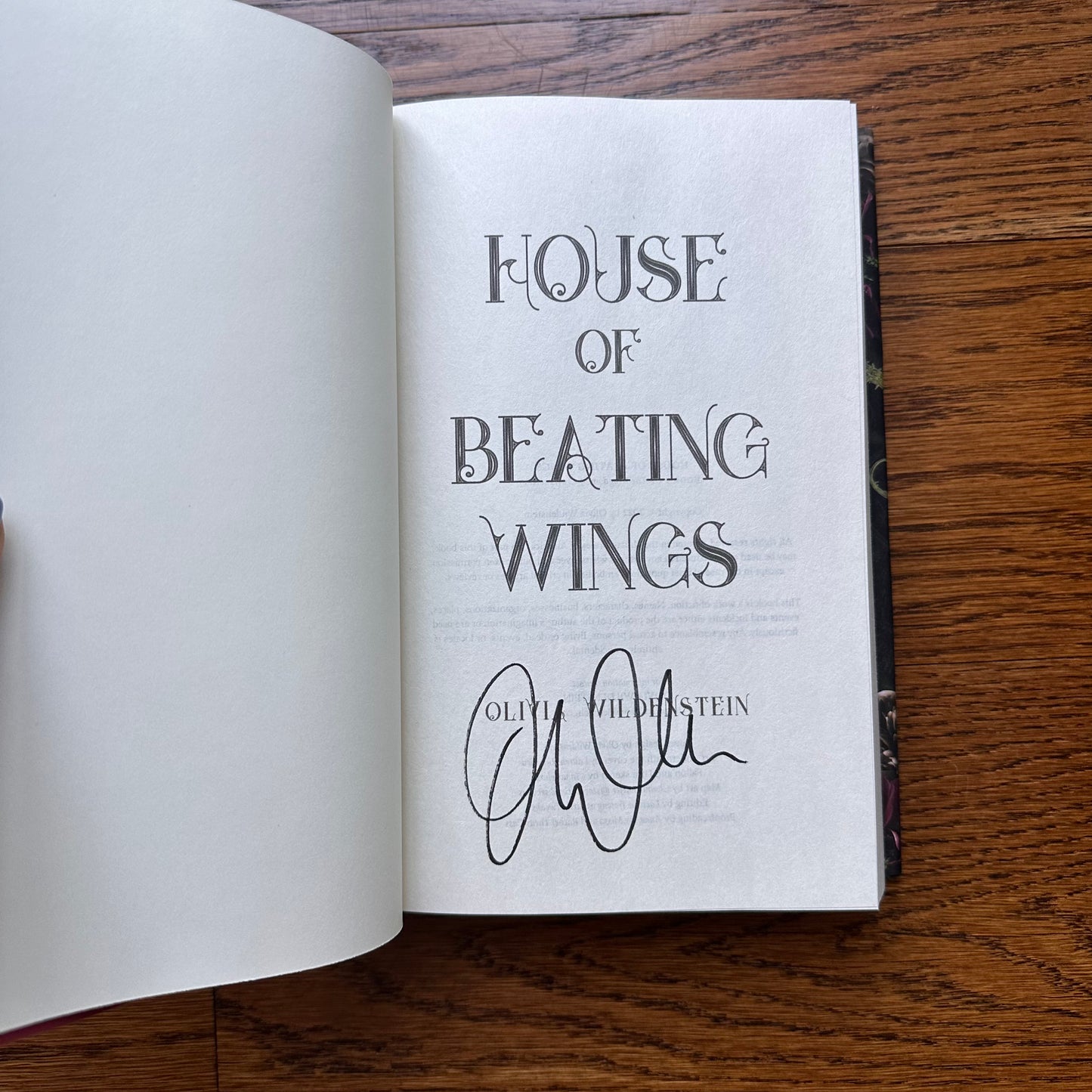 DUD House of Beating Wings HARDCOVER