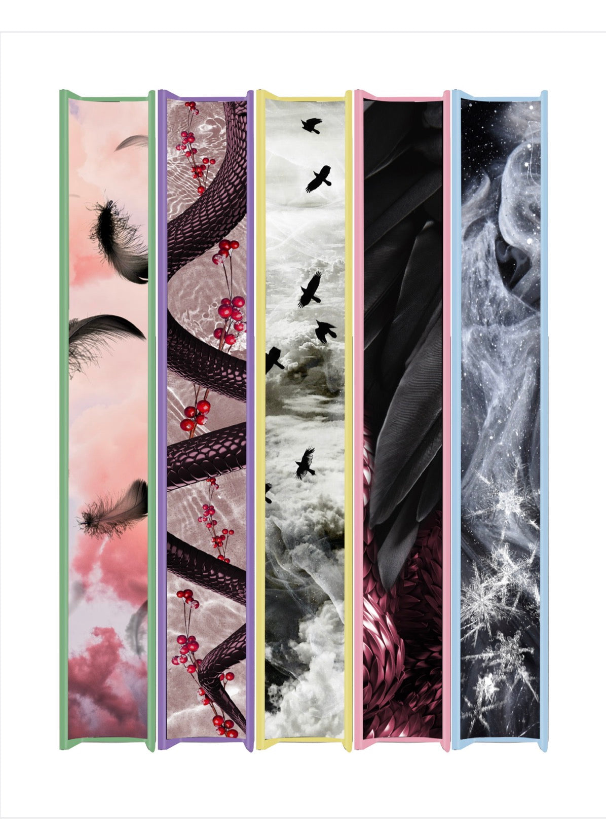 The complete Kingdom of Crows series - SPECIAL EDITION