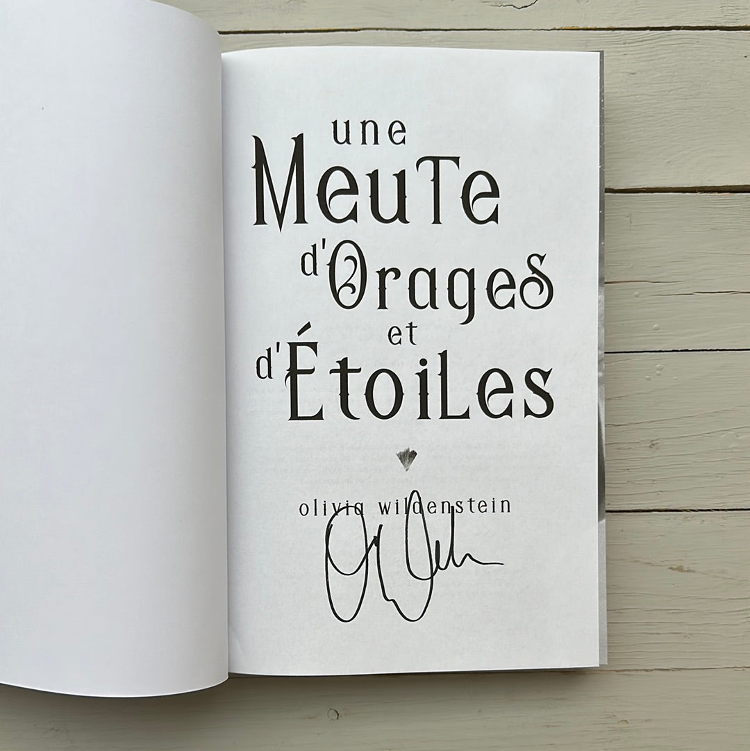 Une Meute d’orages et d’étoiles (French book)